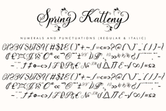 Spring Katteny Product Image 10