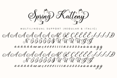 Spring Katteny Product Image 11