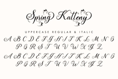 Spring Katteny Product Image 7