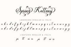 Spring Katteny Product Image 8