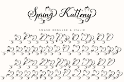 Spring Katteny Product Image 9