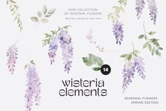 Wisteria Elements Watercolor Collection, Wisteria Clipart Product Image 1