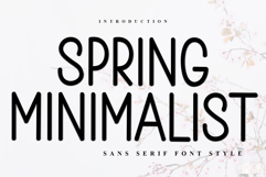 Spring Minimalist Product Image 1