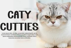 Spring Mountain Product Image 6