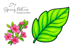 Spring Nature Clipart, Spring Flowers PNG Product Image 1