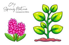 Spring Nature Clipart, Spring Flowers PNG Product Image 1