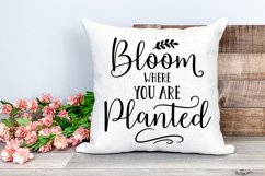 Spring Farmhouse Sign SVG I Spring Door Sign SVG I Spring Quotes SVG