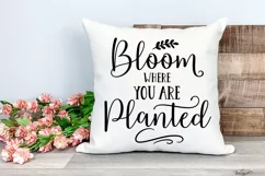 Spring Farmhouse Sign SVG I Spring Door Sign SVG I Spring Quotes SVG
