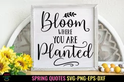 Spring Farmhouse Sign SVG I Spring Door Sign SVG I Spring Quotes SVG
