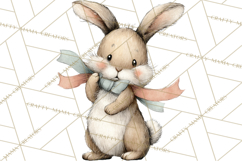 Spring Bunny Clipart, Whimsical Bunny Illustrations Png Product Image 2