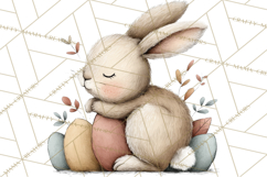 Spring Bunny Clipart, Whimsical Bunny Illustrations Png Product Image 2