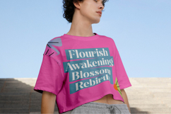 Spring Rustic - New Alternate Serif Font Product Image 4