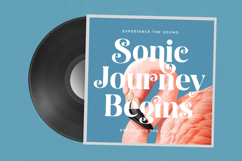 Spring Rustic - New Alternate Serif Font Product Image 8