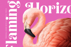 Spring Rustic - New Alternate Serif Font Product Image 10