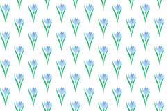 Rustic spring prints | seamless pattern|digital paper Product Image 2