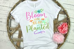 SPRING T-SHIRT TRANSFER DESIGN I SPRING SCREEN PRINTING I SPRING SUBLIMATION TRANSFERS