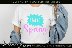 Hello Spring SVG Cut Files Spring T-shirt Mug Pillow Design Product Image 6