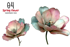 Spring Tulip Flower Clipart Product Image 1