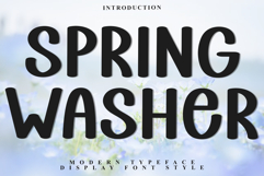 Spring Washer Product Image 1