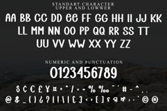 Spring Washer Product Image 4