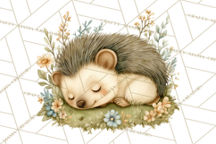 Woodland Spring Creatures PNG, Cute Forest Animals Waking Up Product Image 3