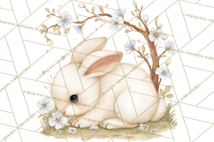 Woodland Spring Creatures PNG, Cute Forest Animals Waking Up Product Image 4