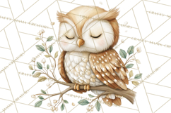 Woodland Spring Creatures PNG, Cute Forest Animals Waking Up Product Image 4