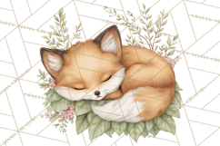 Woodland Spring Creatures PNG, Cute Forest Animals Waking Up Product Image 2