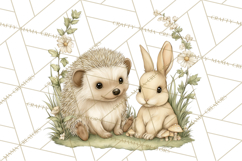 Woodland Spring Creatures PNG, Cute Forest Animals Waking Up Product Image 5