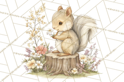 Woodland Spring Creatures PNG, Cute Forest Animals Waking Up Product Image 2