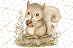 Woodland Spring Creatures PNG, Cute Forest Animals Waking Up Product Image 3