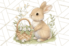 Woodland Spring Creatures PNG, Cute Forest Animals Waking Up Product Image 5