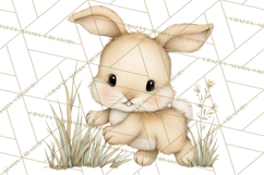 Woodland Spring Creatures PNG, Cute Forest Animals Waking Up Product Image 2
