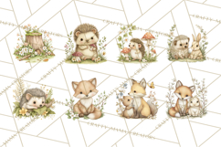 Woodland Spring Creatures PNG, Cute Forest Animals Waking Up Product Image 4
