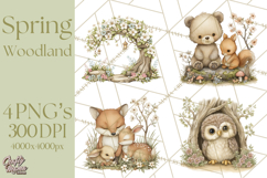 Woodland Spring Creatures PNG, Cute Forest Animals Waking Up Product Image 1