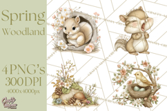 Woodland Spring Creatures PNG, Cute Forest Animals Waking Up Product Image 1