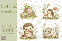 Woodland Spring Creatures PNG, Cute Forest Animals Waking Up Product Image 1