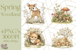 Woodland Spring Creatures PNG, Cute Forest Animals Waking Up Product Image 1