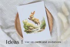 Spring Bunny Clipart PNG Woodland Cute Rabbit Illustration Product Image 3