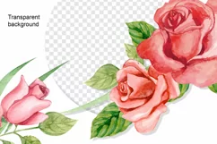 Watercolor bouquets of pink roses, Watercolor Digital Flower Product Image 5