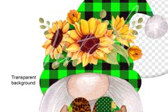 scandinavian gnome st. patrick's day png Product Image 5