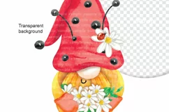 Gnomes. Hand drawn gnomes. Gnomes PNG clipart. Summer gnome Product Image 5