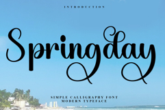 Springday Product Image 1