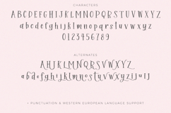 Sprinkle Cookie Serif Font Product Image 10