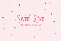 Sprinkle Cookie Serif Font Product Image 4