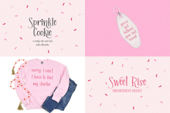 Serif Font Mini Bundle Product Image 5
