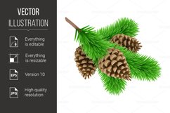 Pine Branch Product Image 1