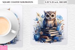 Brown Blue Owl and Books|Animal Square Coaster PNG Product Image 1