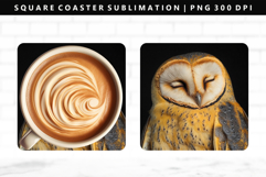 Owl Square Coaster Design | Square Coaster PNG Product Image 1