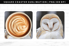 Owl Square Coaster Design | Square Coaster PNG Product Image 1